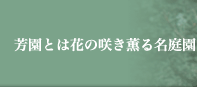 FƂ͉Ԃ̍炫O閼뉀